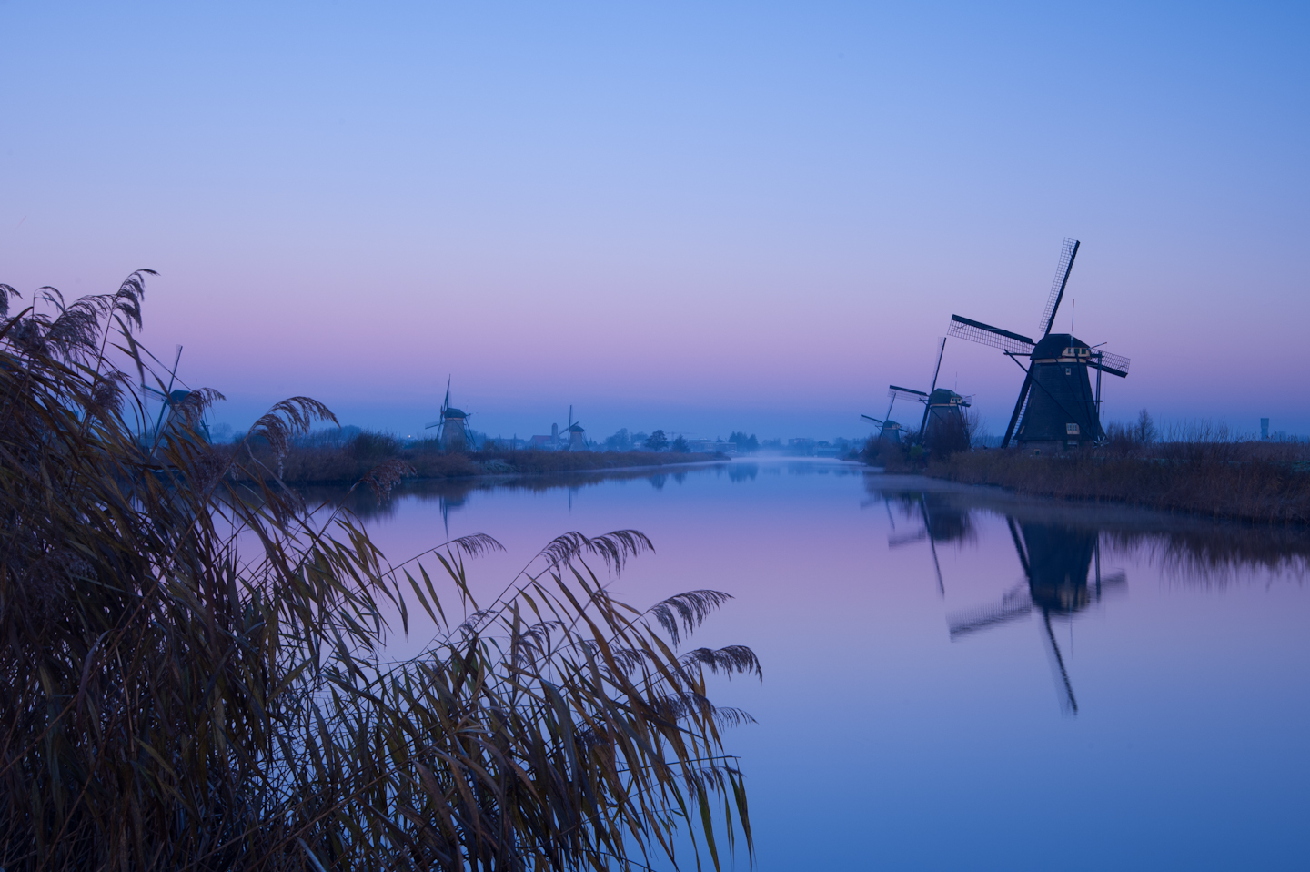 Dutch Landscape